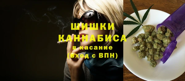 сатива Бугульма