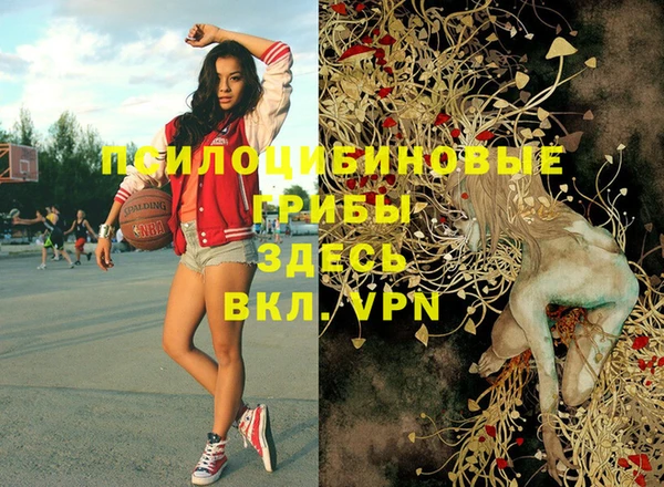 марки nbome Бородино