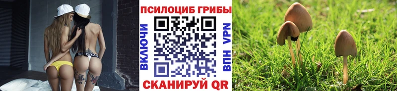 Купить где  Усолье  Галлюциногенные грибы Psilocybe 